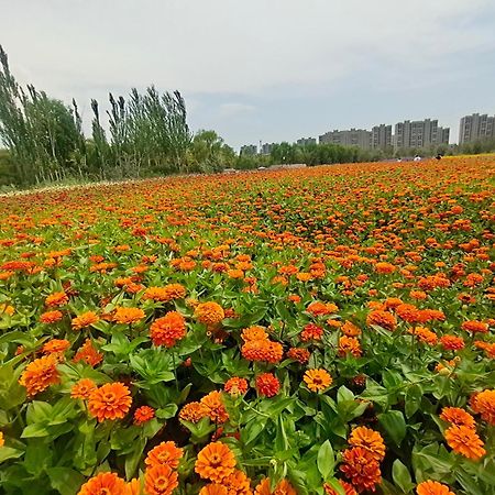Primus Hotel Yinchuan Luaran gambar