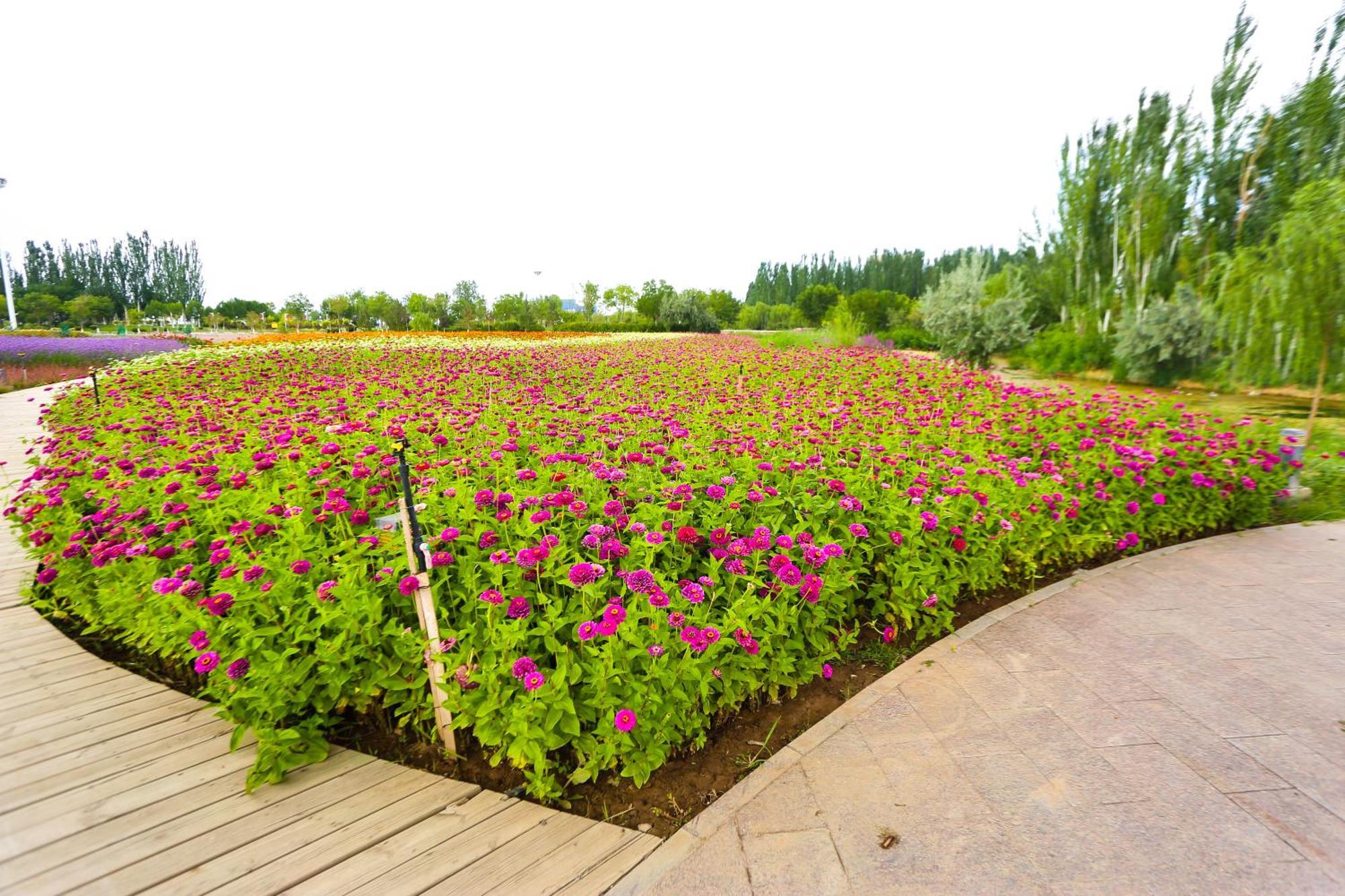 Primus Hotel Yinchuan Luaran gambar