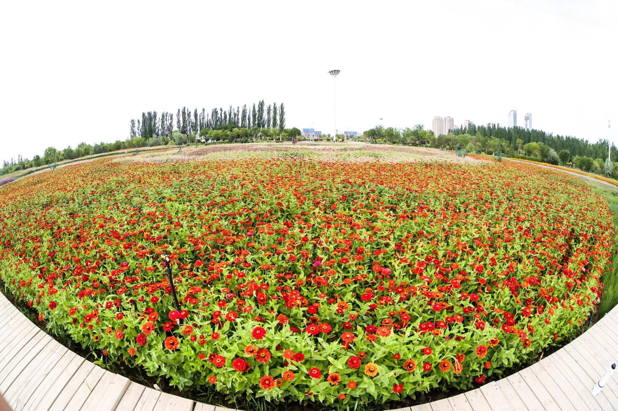 Primus Hotel Yinchuan Luaran gambar