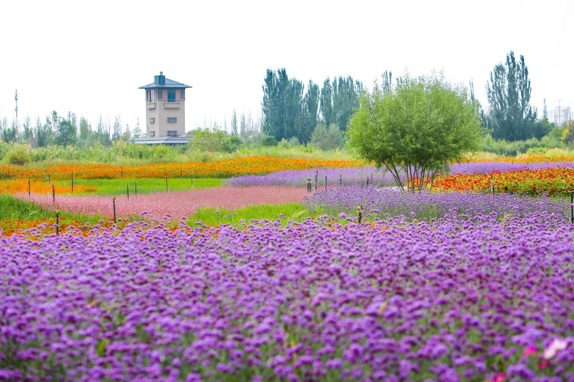 Primus Hotel Yinchuan Luaran gambar